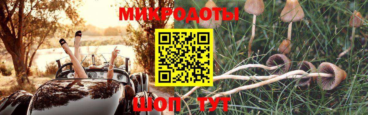 Вязники  Псилоцибиновые грибы Psilocybine cubensis  Вход с VPN 